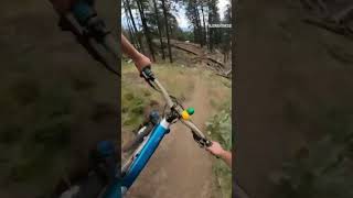 Homemade Back Yard Jump Line At My...