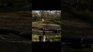 Bike riding #downhillbike #commencal #mtblife