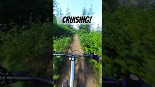 Just cruising down Poppin Tops!