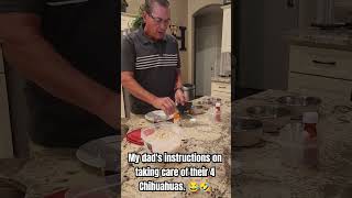 Chihuahua Care Instructions #chihuahuas...