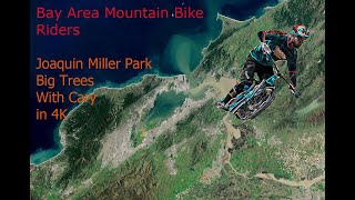 Joaquin Miller Park, Big Trees with Cary in 4K