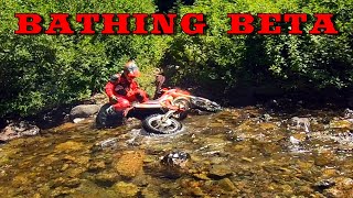 Singletrack – Middle Fork Teanaway Trail #1393