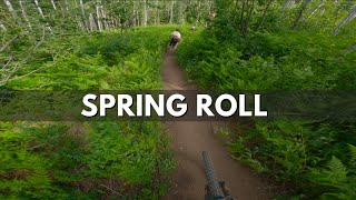 SPRING ROLL MTN BIKE - Steamboat Springs