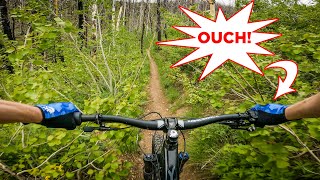 Don't think I'll take this route again...