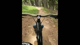 3-LÄNDER ENDURO Spin Trail is underrated ...