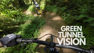 Descending 3000' on an Overgrown Trail