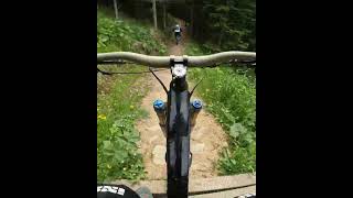 3-LÄNDER ENDURO Bergkastel Trail: Flowduro ...