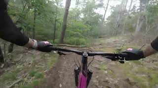Ledge Mountain Bike Trail - Mount Agamenticus...