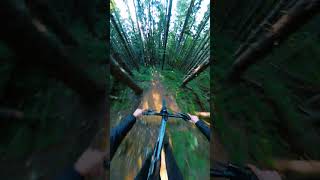 Rowdy Freeride Line!