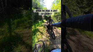 This trail is REMARKABLE!!! #youtubeshorts