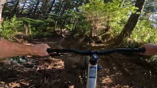 Pinball @ FourForty MTB Park