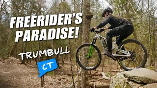 Freerider’s paradise right here in...