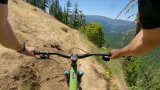 Alpine Trail / Oakridge, OR / MTB