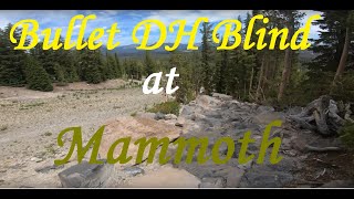 Bullet DH Blind Mammoth Bike Park