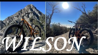 Wilson Full Ride