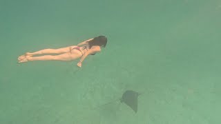 Snorkelling Smiths Reef