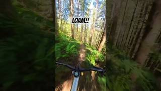 This section of trail made me so happy!...