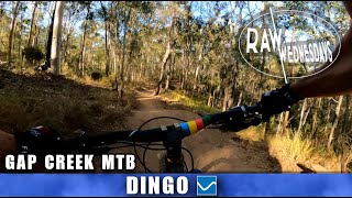 DINGO | Gap Creek MTB | RAW WEDNESDAYS