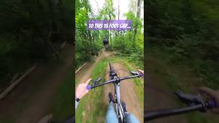 perfect trail for learning gap jumps.