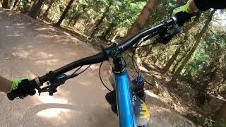 Family Bike Park Zieleniec - Bom-Bel - 2023
