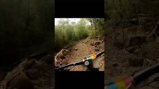 Zoomin #mountainbike #mtbiking #asmr #bike...