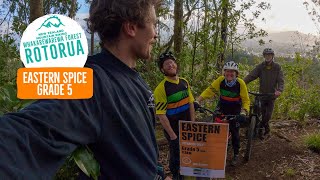 BRAND NEW Rebuild Open for Matariki! - Eastern...