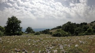 Cori (LT) Mtb Enduro - Decamerone e Bella...