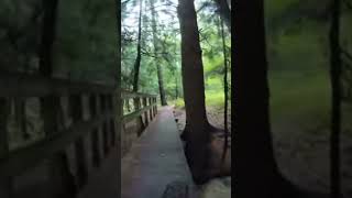 Wet bridge!
