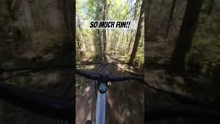 This trail is a workout!!