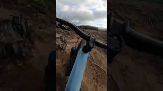 Matariki's Magic: Exploring the Fresh MTB...