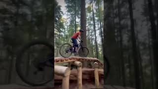Fresh North Shore Woodwork
