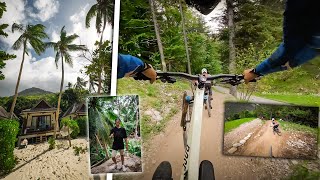Shredden in Italien & Grüße von den...
