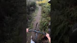 Wet Downhill MTB Laps! #shorts