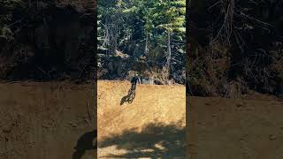 Secret Whistler Line!