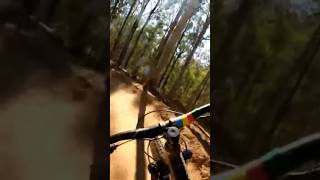 Flowy jumps #mtb #daisyhill #brisbane #asmr