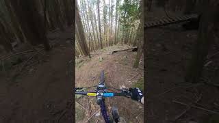 Old-school trails are insane!