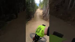 This Whistler Bike Park Trail Is Insane!!!...