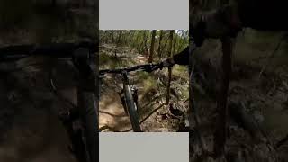 Just ride your bike #mountainbike