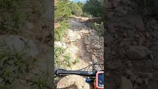 Rock Garden MTB  #mtb #shorts #mountainbike...