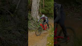 King Brown cornering #shorts