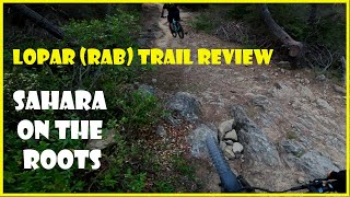 Review of Sahara on the roots