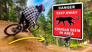 Riding Pro Lines in the Bike Park