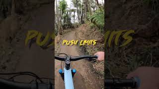 Stumpjumper Evo Comp: Unlocking Your MTB Passion