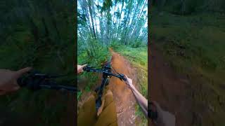 Steep & Loose!