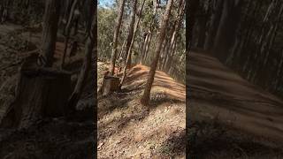 Big jumps #mountainbike #mtb #asmr #bike...