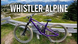 Lord of the Squirrels 2023 - Whistler Mountain...