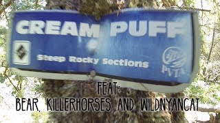 Cream Puff // Mountain Biking Trail in...