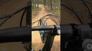 The best jump trail I’ve ridden in the UK