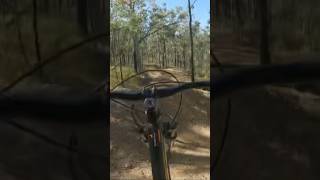 Big dirt jumps #mtb #asmr #bikeshorts
