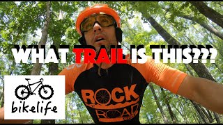 Riding the Mountain Bike and Singing - Can You...
